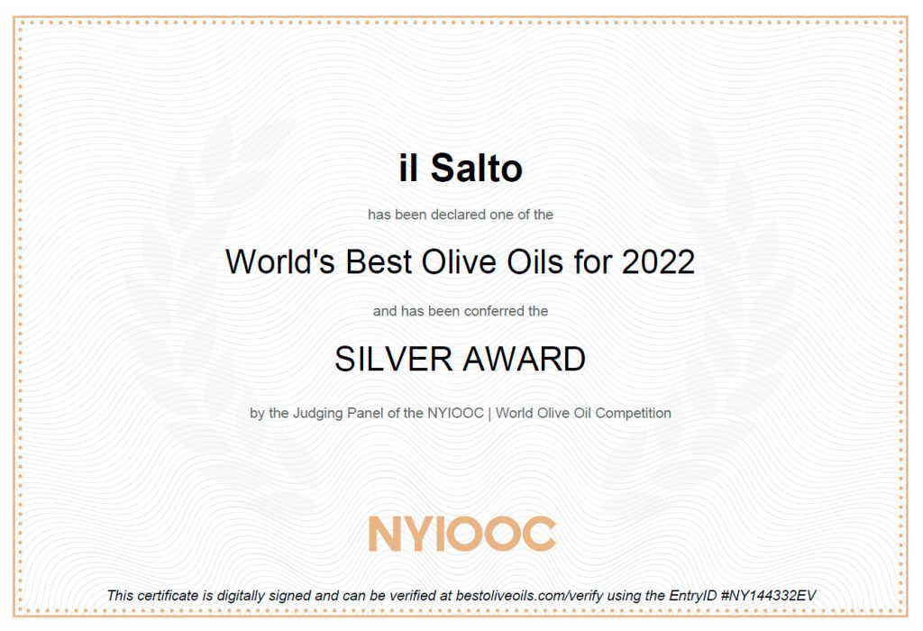 silver award IL SALTO